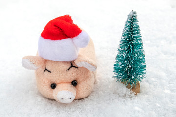 A toy pink pig in a red Santa Claus hat is standing on white snow next to a Christmas tree. The concept of the new year and winter holidays.