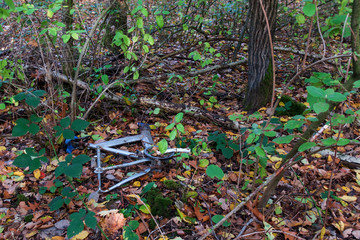 old bicycle frame in the forest