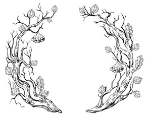 Floral wreath with tree leaves. Hand drawn illustration converted to vector