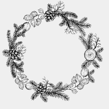 Pine wreath with cone and fir brunches. Vector illustration.