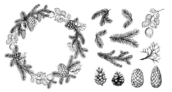 Pine wreath with cone and fir brunches. Vector illustration.