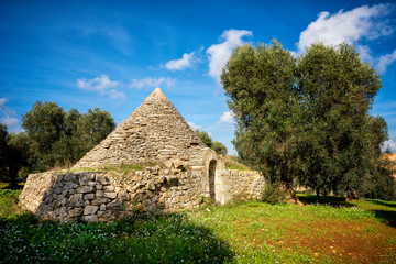 Fototapeta na wymiar Trulli with olive grove. Val d'Itria - Puglia (Apulia) - Italy