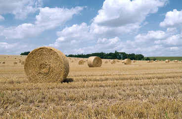 Nobitz / Germany: Round bales on a harvested wheat field near Selleris in Eastern Thuringia in July