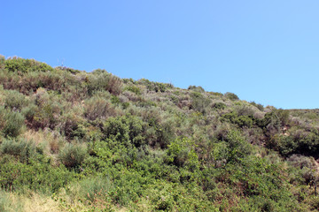 Hill hillside forest woods hiking trail
