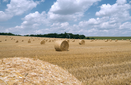 Nobitz / Germany: Round bales on a harvested wheat field near Selleris in Eastern Thuringia in July