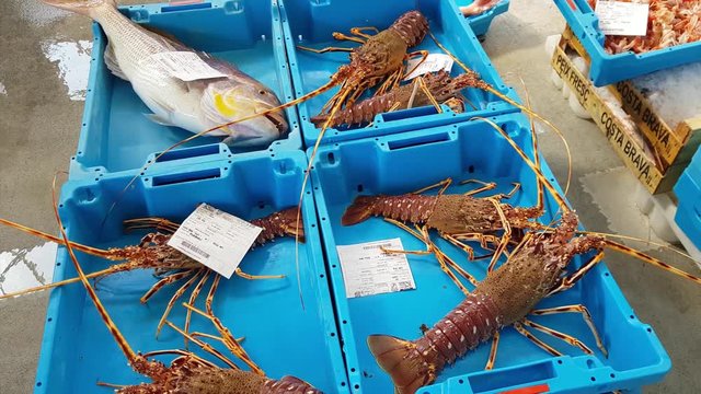 Blue plastic containers with catch of sea fish delicacies, langoustines, crayfish and lobsters. Fish auction for wholesalers and restaurants. Blanes, Spain, Costa Brava. Fishing at pier in port Blanes