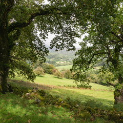 Fototapeta na wymiar Landscape image of view from Precipice Walk in Snowdonia overlooking Barmouth and Coed-y-Brenin forest during rainy afternoon in September