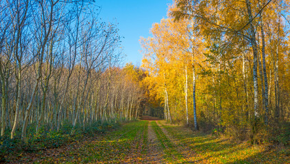 Fototapeta premium Rural hilly landscape in fall colors in sunlight in autumn
