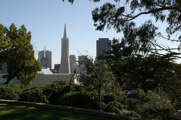 Fototapeta premium San Francisco - Skyline