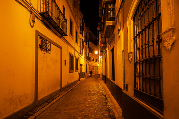 alley at night in the old town of Seville, Spain
