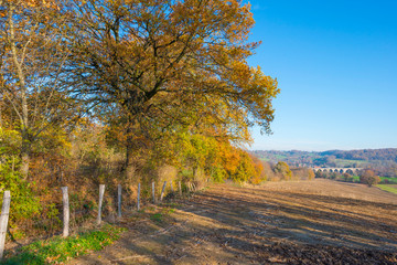 Naklejka premium Viaduct with a railroad over a valley in sunlight at fall