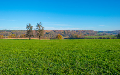 Rural hilly landscape in fall colors in sunlight in autumn