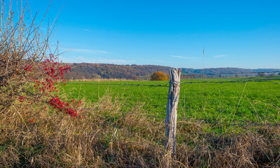 Fototapeta premium Rural hilly landscape in fall colors in sunlight in autumn