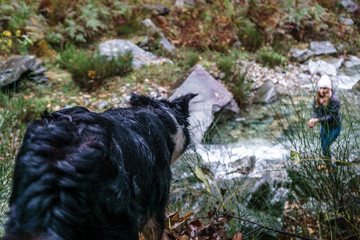 Ein Hund blickt auf einen Menschen im Fluss