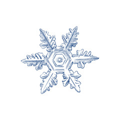 Hand Drawn Snowflake Sketch Symbol isolated on white background. Vector of winter elements In Trendy Style