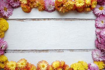 Floral frame of pink and yellow chrysanthemums. Empty space on a white wooden board. View from above