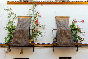 windows at a typical Andalusian house in Seville, Spain