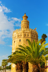 Fototapeta na wymiar famous Torre del Oro in Seville, Spain