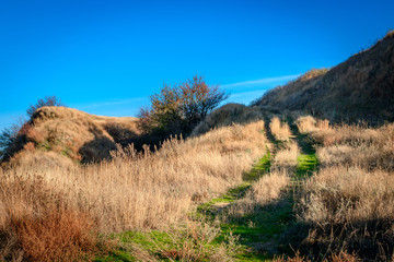 Dirt road overgrown with grass going up the hill. Beautiful landscape with blue sky.