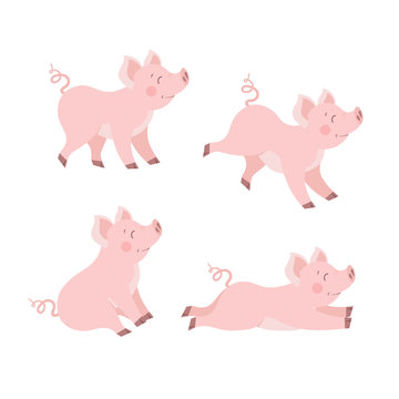 Cute pig set in different poses cartoon vector illustration. Happy piggy collection isolated on white