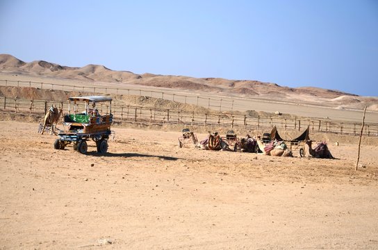 Camp bédouin dans le désert du Sud-Est de l’Egypte
