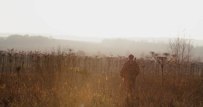 Hunter in hunting equipment with rifle on his shoulder walks through the field in sun light foggy evening, forest on the horizon