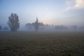 Morgennebel