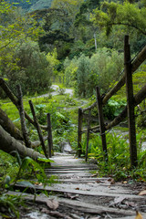 Fototapeta premium Un puente hacia los senderos del Cañon del Combeima. (Juntas, Tolima - Colombia)