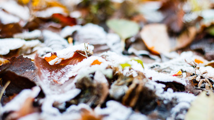 Herbstlauf mit Frost
