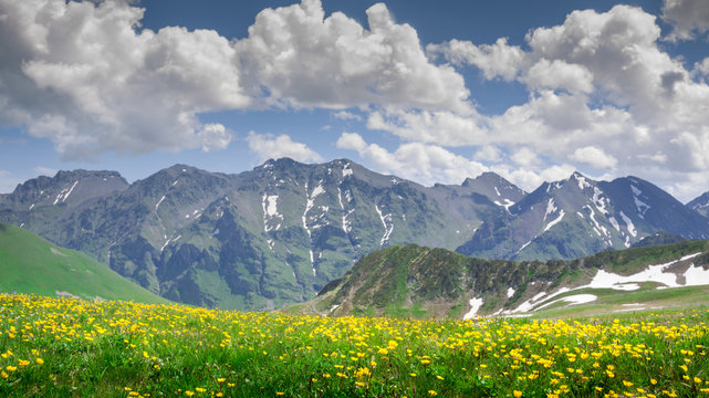 beautiful mountains  scenery with flowers
