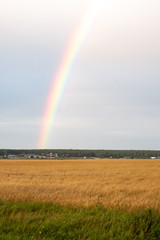 vertical orientation photo of the rainbow and fields to forest