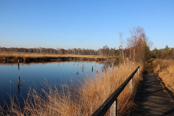 Steg am Moorsee im Pietzmoor in der Lüneburger Heide im Herbst 