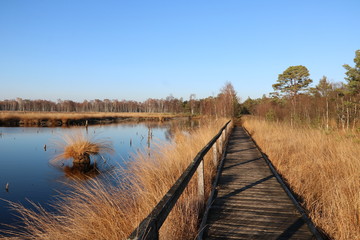 Pietzmoor im Herbst mit Steg am Moorsee