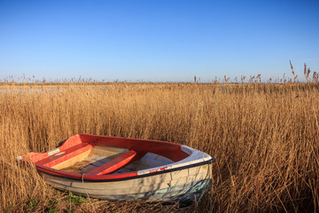 Rotes Boot im Schilf