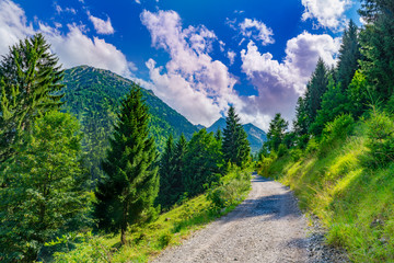 Fototapeta premium Wanderweg in den Bergen mit Aussicht auf Allgäuer Alpen