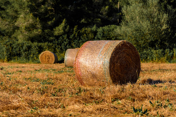 Haystack in the sun