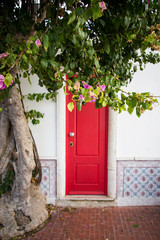 Beautiful red door in the wall with tree nature vintage retro Lisbon, Portugal traditional colorful house