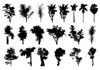tree silhouettes on white background ,nature,vector illustration