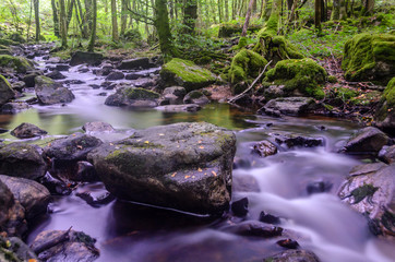 A lovely and quiet brook that rushes through the lonely forest, with a few boulders in the foreground.