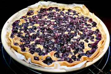 homemade blueberry cake with fresh ingredients