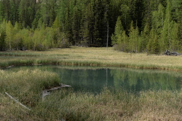  Blue Geysernoe Lake, near the village of Aktash, Ulagansky District, Gorny Altai, Siberia