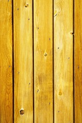 wood panel fence