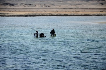 Plongeurs sur le site d’Abu Sail (Marsa Alam- Egypte)
