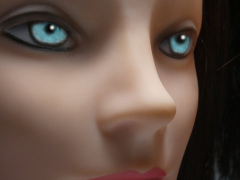 Donna robot