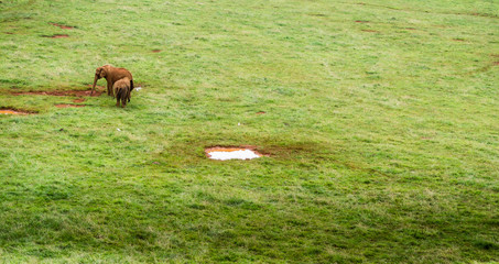 Parque de Cabárceno