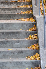 Laub verschmutzte Treppe