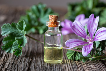 A bottle of mallow essential oil with fresh blooming malva sylvestris plant
