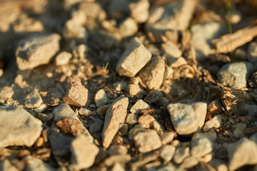 Kieselsteine und Steinsplitter