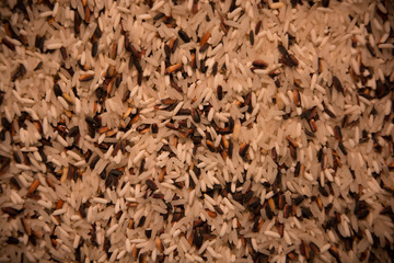 arroz salvaje o rojo, foto macro con textura aérea