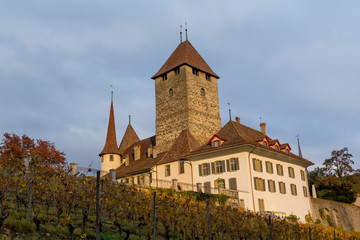 Castle in Spiez, Switzerland